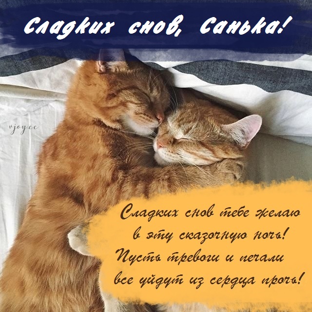 Картинка добрых снов саша. Смотреть фото Картинка добрых снов саша. Смотреть картинку Картинка добрых снов саша. Картинка про Картинка добрых снов саша. Фото Картинка добрых снов саша