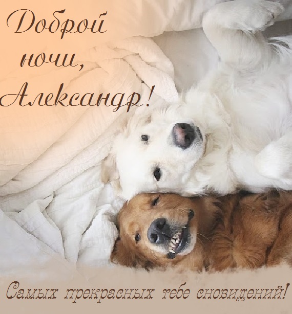 Картинка добрых снов саша. Смотреть фото Картинка добрых снов саша. Смотреть картинку Картинка добрых снов саша. Картинка про Картинка добрых снов саша. Фото Картинка добрых снов саша