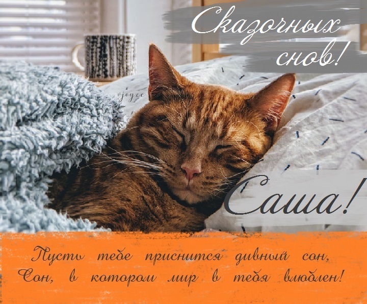 Картинка добрых снов саша. Смотреть фото Картинка добрых снов саша. Смотреть картинку Картинка добрых снов саша. Картинка про Картинка добрых снов саша. Фото Картинка добрых снов саша