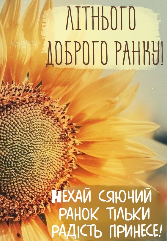 Красивий літній ранок. 