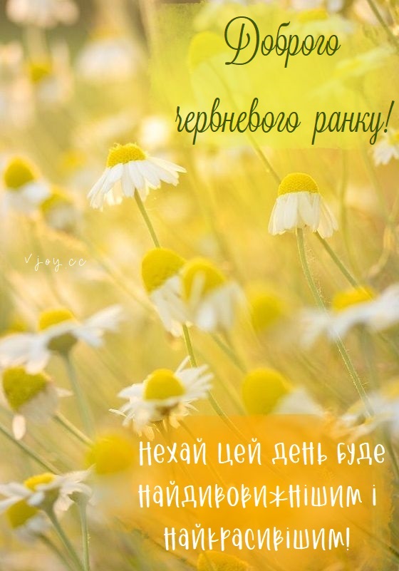 Добрий ранок, Червень! 