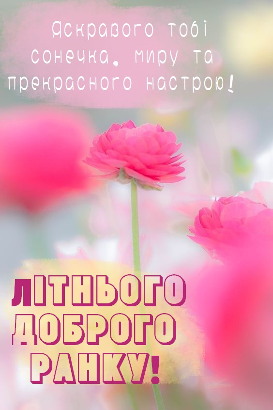 Літо, доброго ранку! 