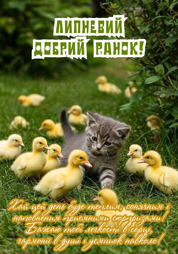 Липневий добрий ранок! - картинка. 