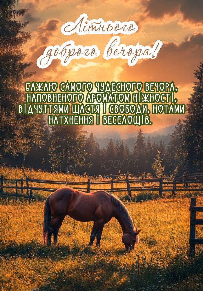 Спокійного вам вечора серед літньої тиші 