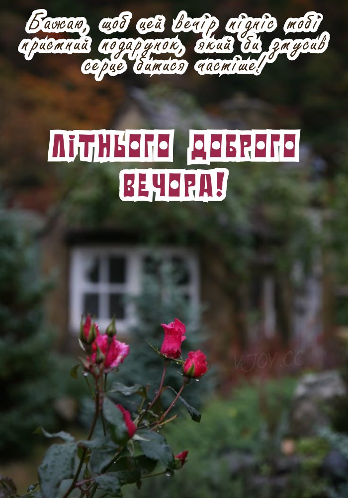 Теплого вечора в компанії гармонії 
