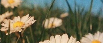 ФЧЫЫ