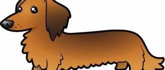 c5f8a08ca5733e7a02bc04ad2fcbce05