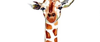 b6127a9c79e21c91ca96781bebacbae1