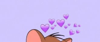 51036b0e3c597eecde5449b7f2bb5255