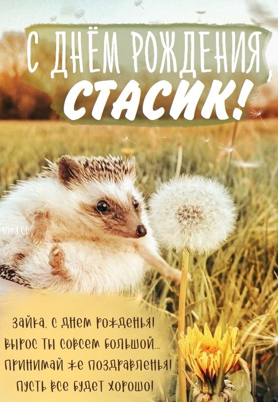 Детские картинки - С днем рождения, Стасик! (35 фото)