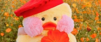 1d918f7ddf4b246361b664d007636ab2