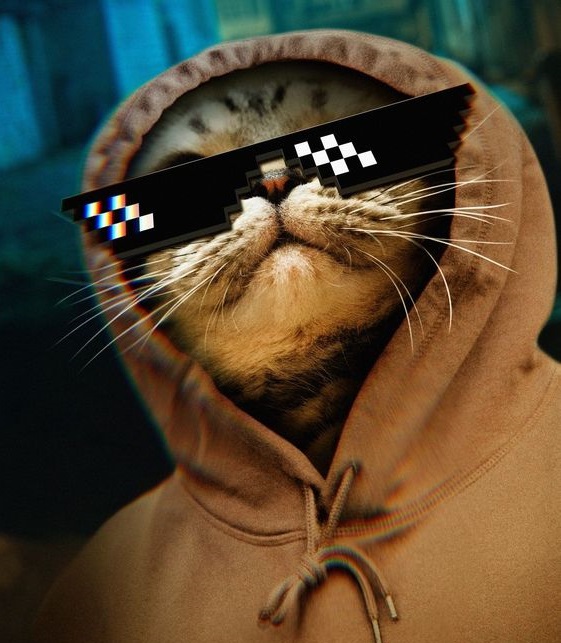 43 43