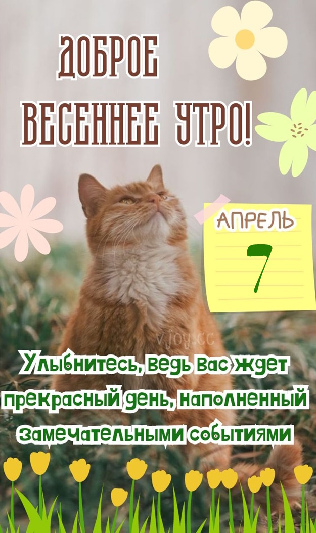 Красивые картинки - Доброе весеннее утро 7 апреля! (40 фото)