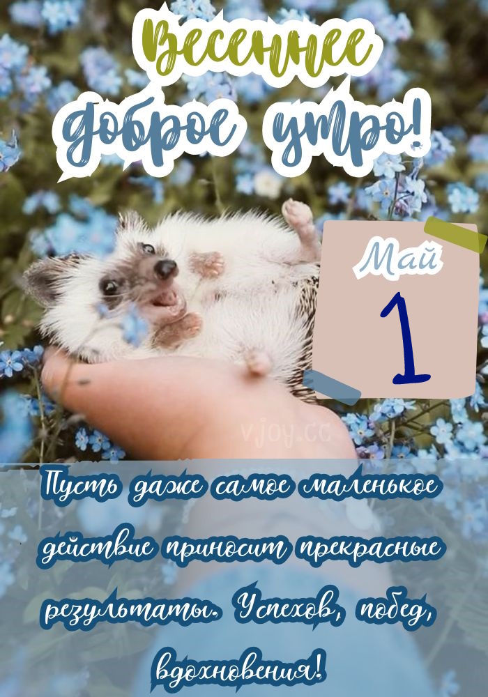 Красивые картинки - Доброе весеннее утро 1 мая! (40 фото)