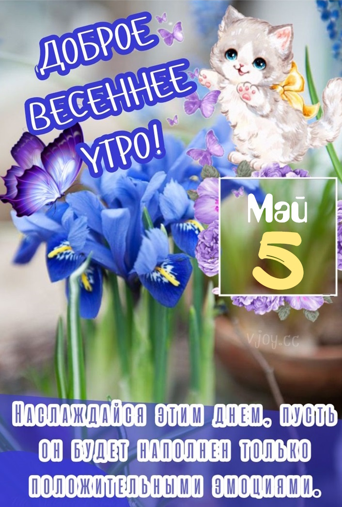 Красивые картинки - Доброе весеннее утро 5 мая! (40 фото)