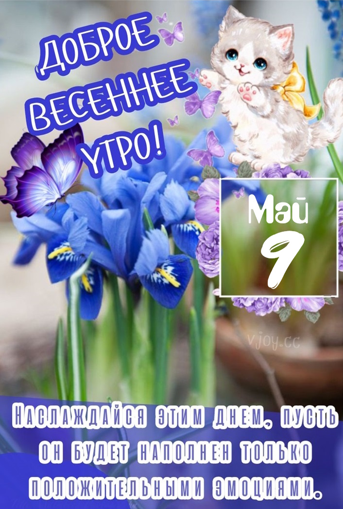 Красивые картинки - Доброе весеннее утро 9 мая! (40 фото)