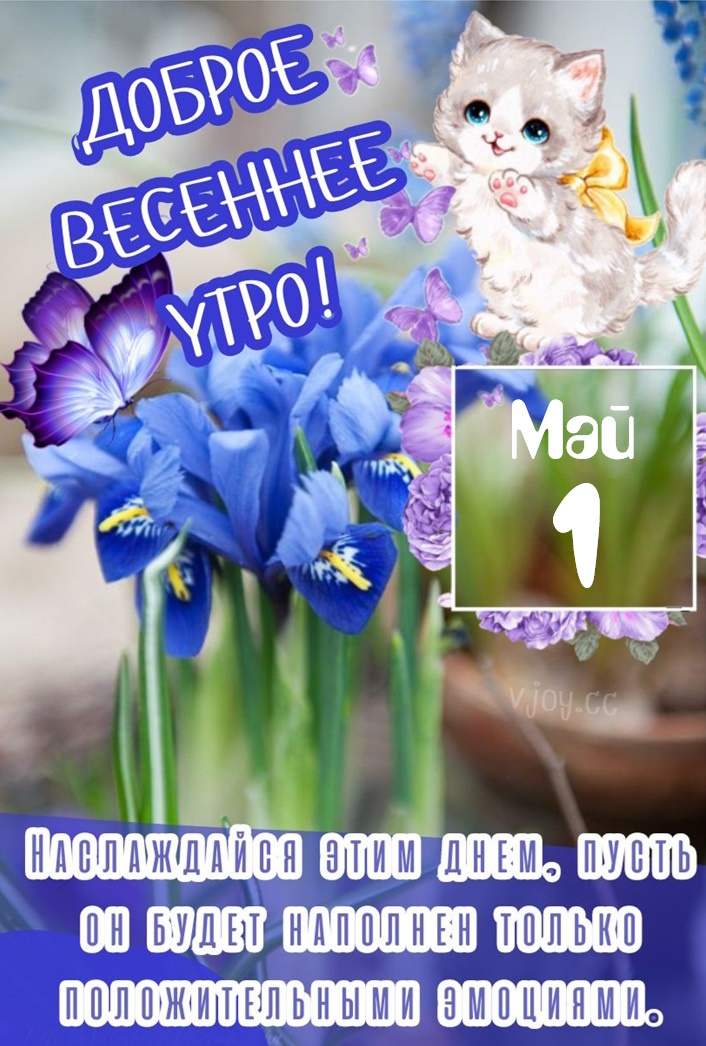 Красивые картинки - Доброе весеннее утро 1 мая! (40 фото)