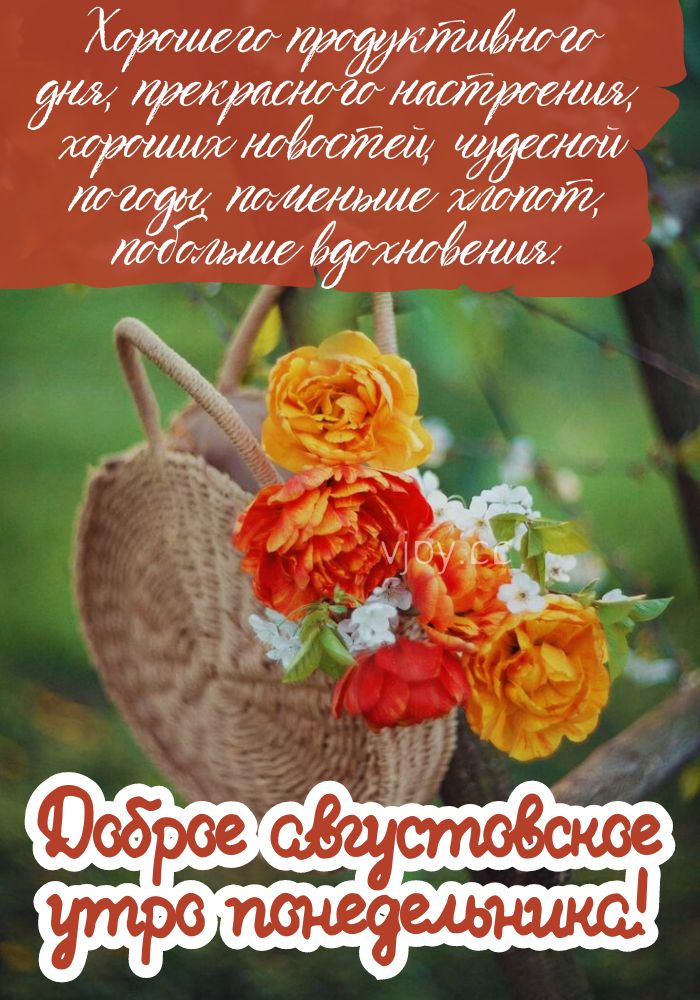 Чудесного понедельника! 