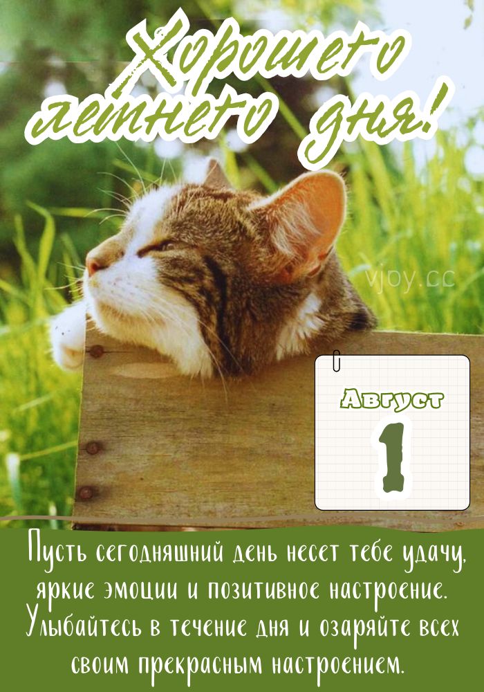 Хорошего дня августа! 