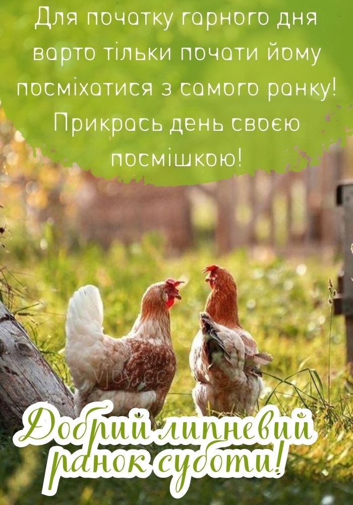 Гарного суботнього дня! 
