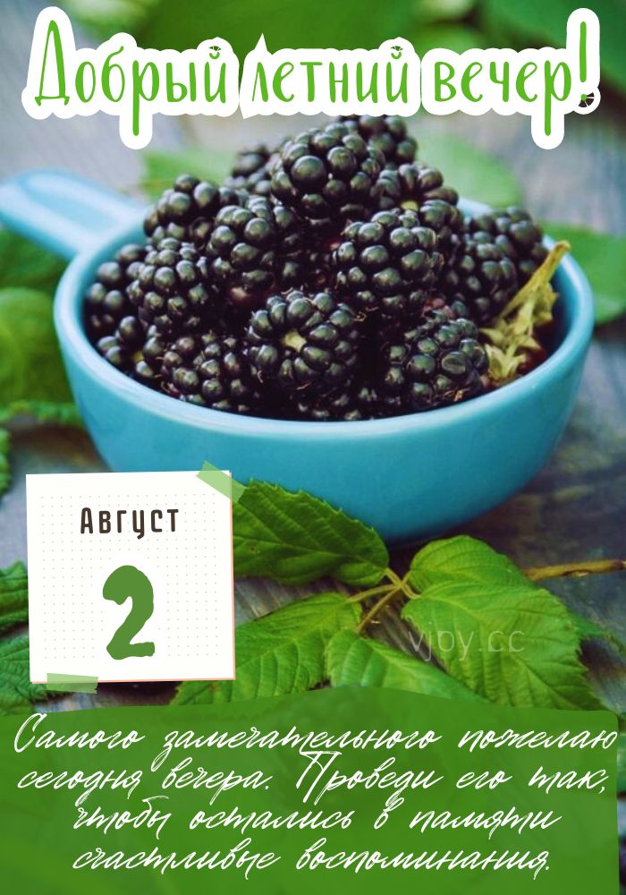 Добрый августовский вечер! 