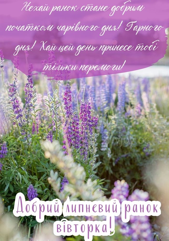 Прекрасного липневого ранку вівторка! - листівка. 