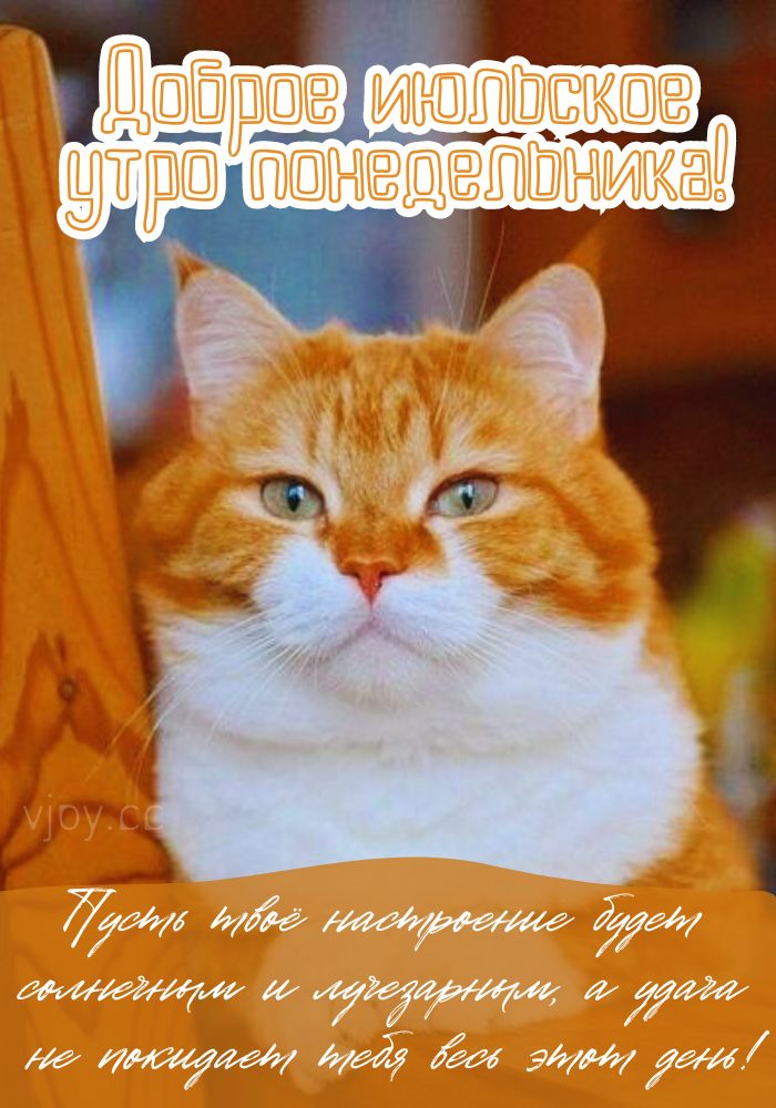Доброго июльского утра понедельника!