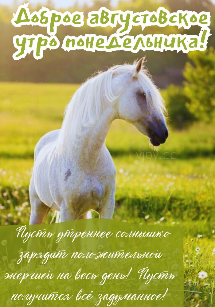 С добрым августовским утром понедельника! 