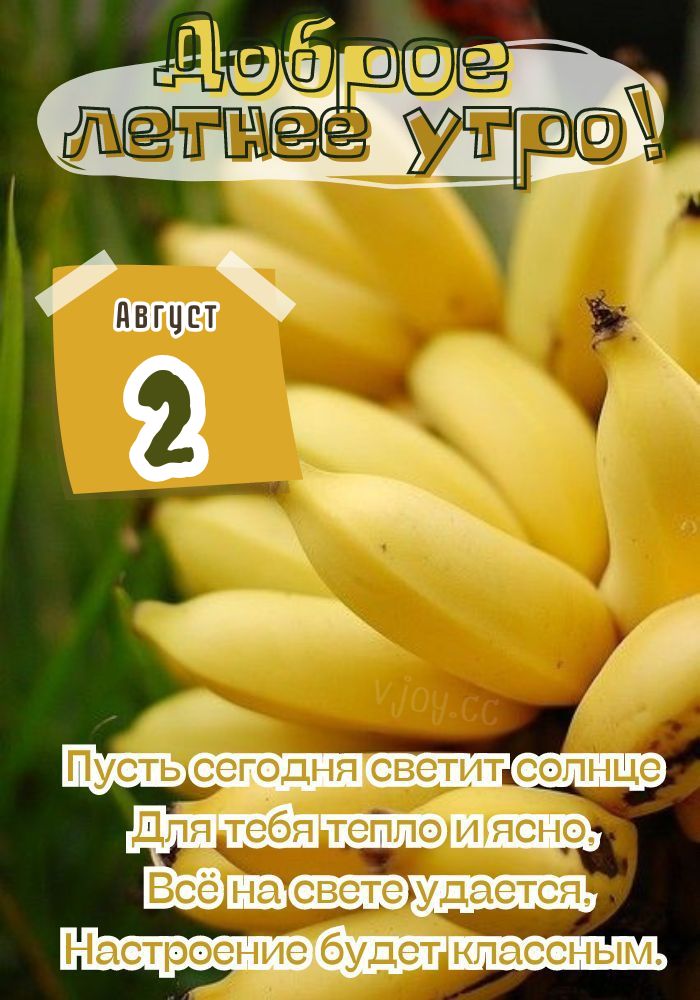 Летнее утро 2 августа. 