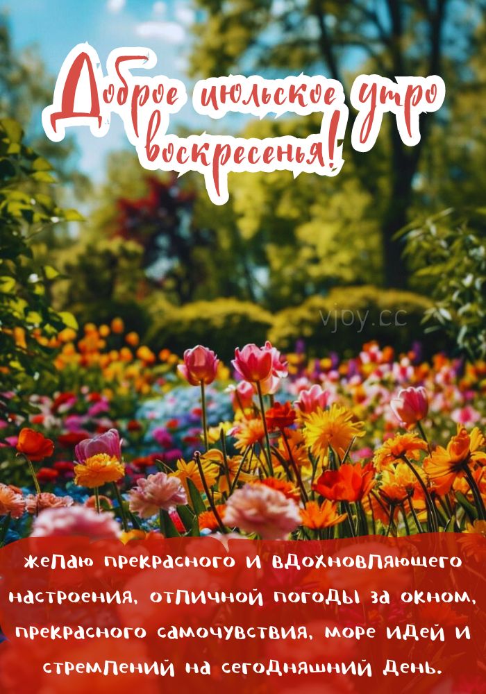 Летнее доброе утро!