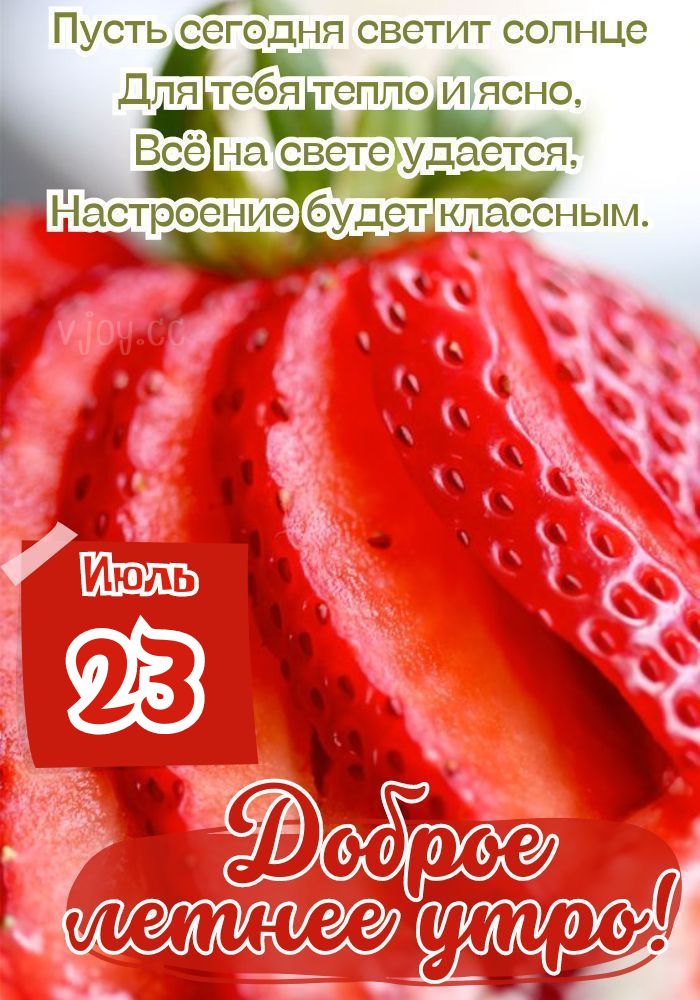23 июля доброе летнее утро! - красивая картинка.