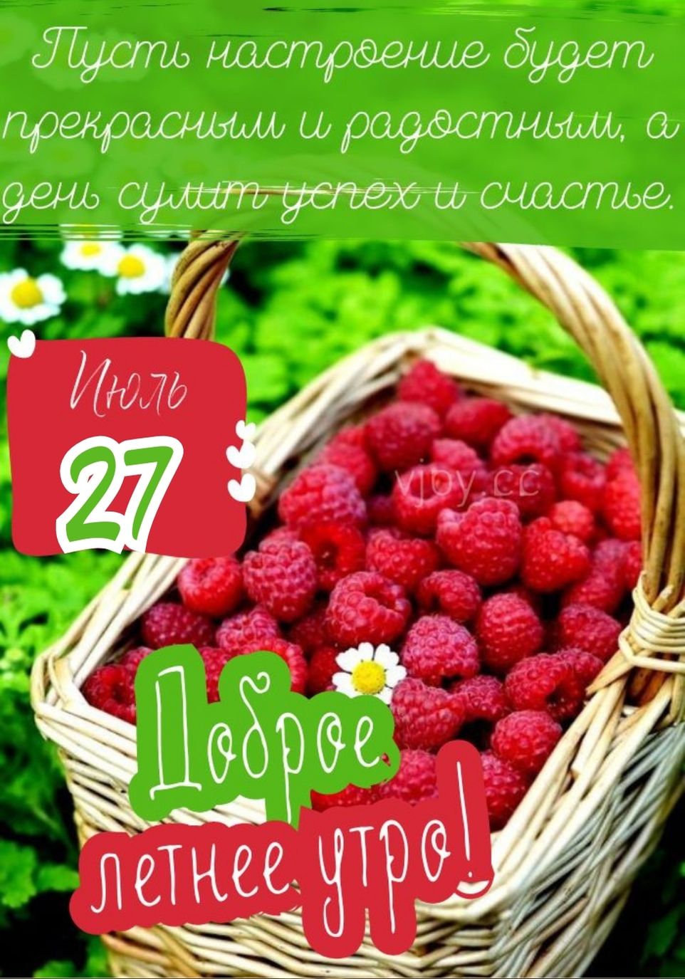 Прекрасного летнее утро 27 июля.