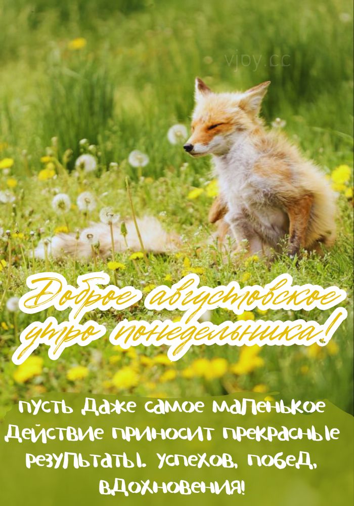 Удачного понедельника желаю! 