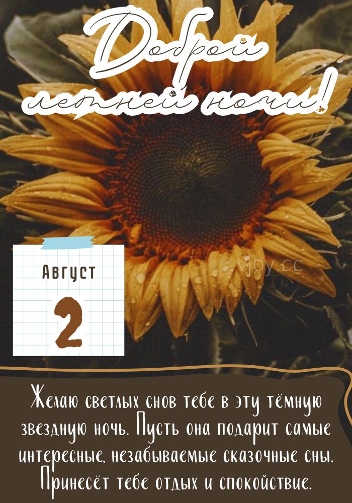 Спокойной ночи 2 августа! 