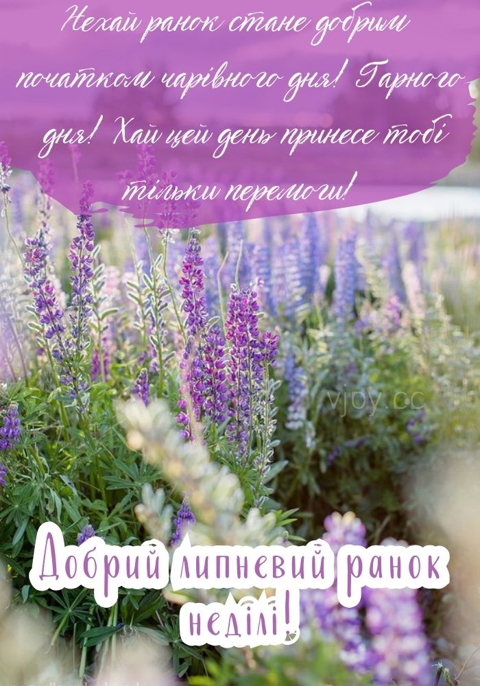 Неділя, добрий липневий ранок! - листівка. 