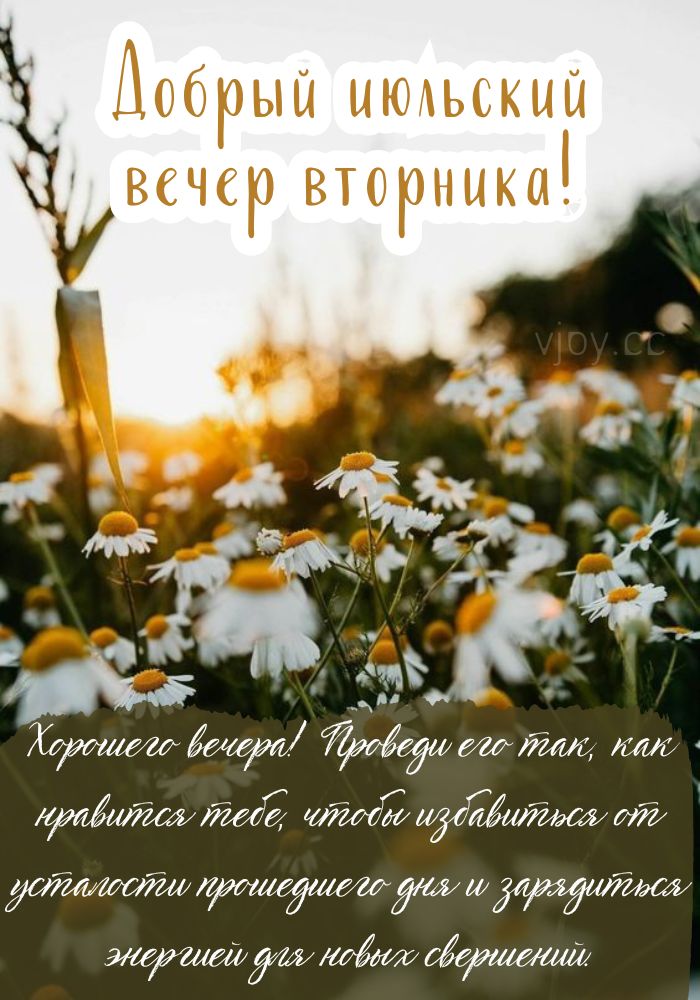 Отличного июльского вечера во вторник! 