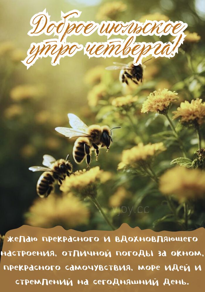 Летнее доброе утро четверга.