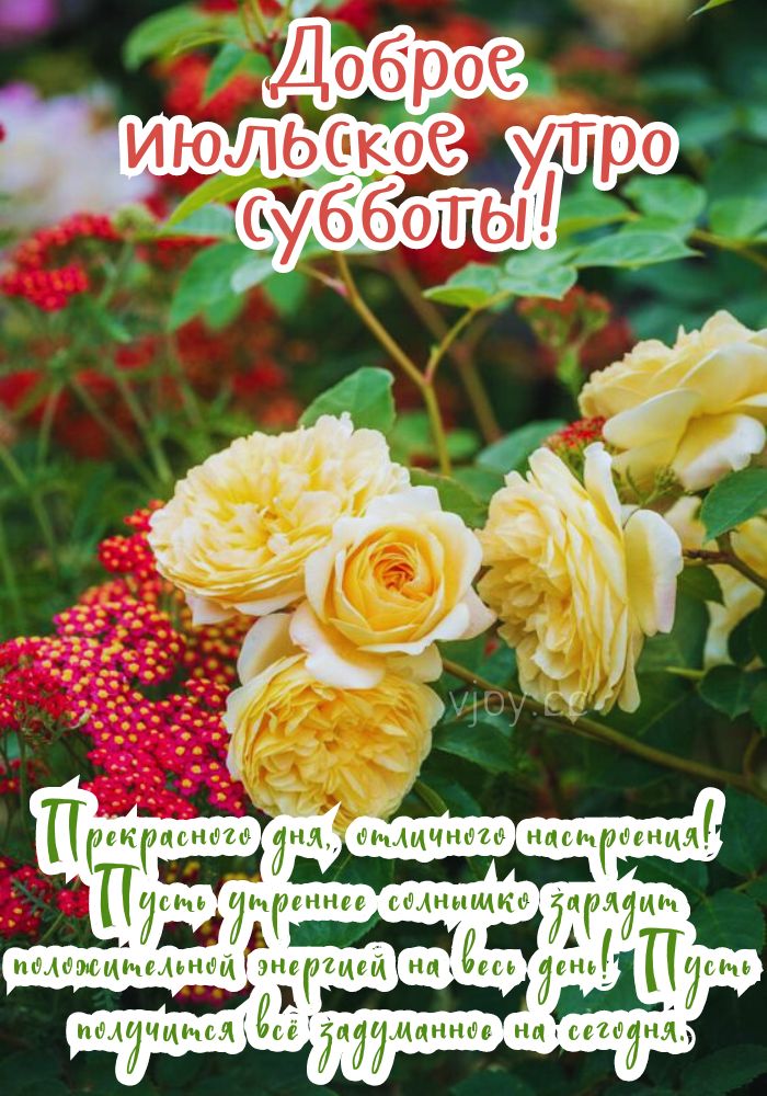 С субботним добрым утром!