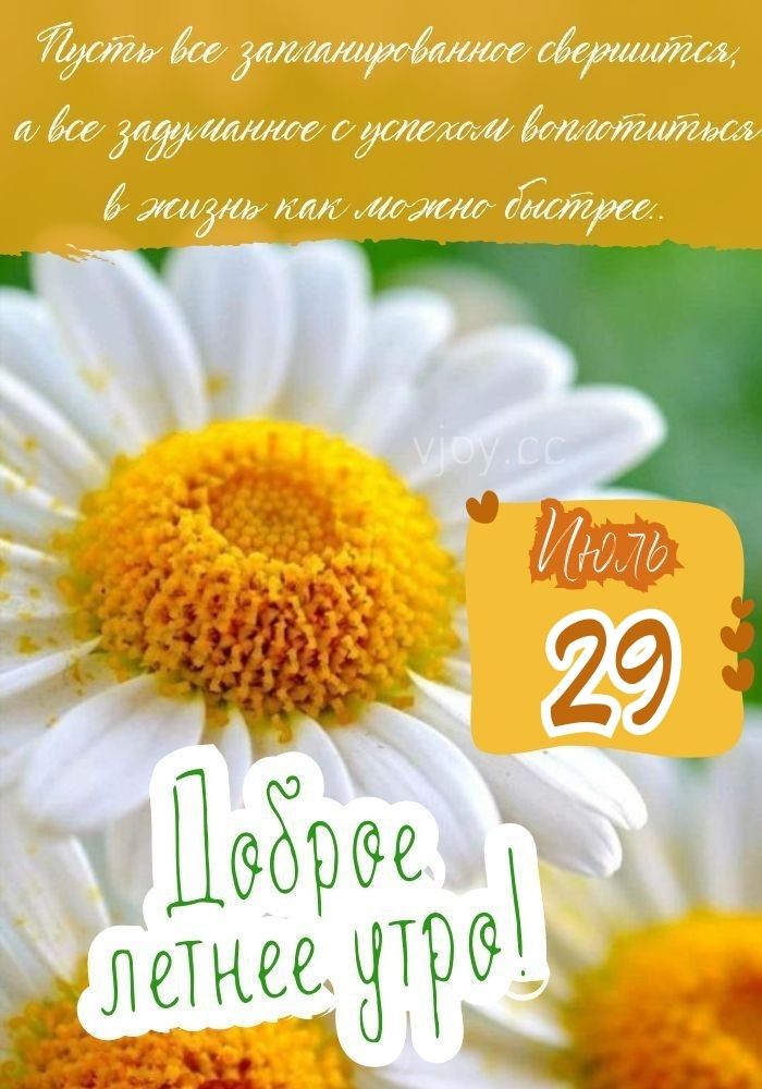 29 июля доброго утра! 