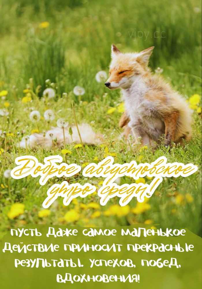 Чудесного августовского дня среды.

