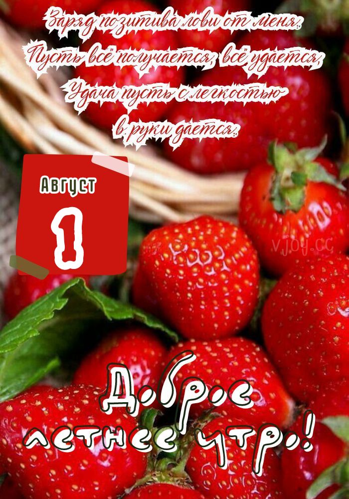 Доброго утра 1 августа! - открытка. 