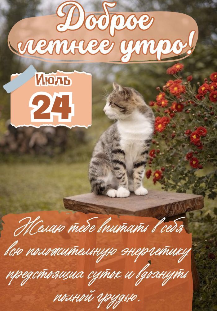 С добрым утром 24 июля!