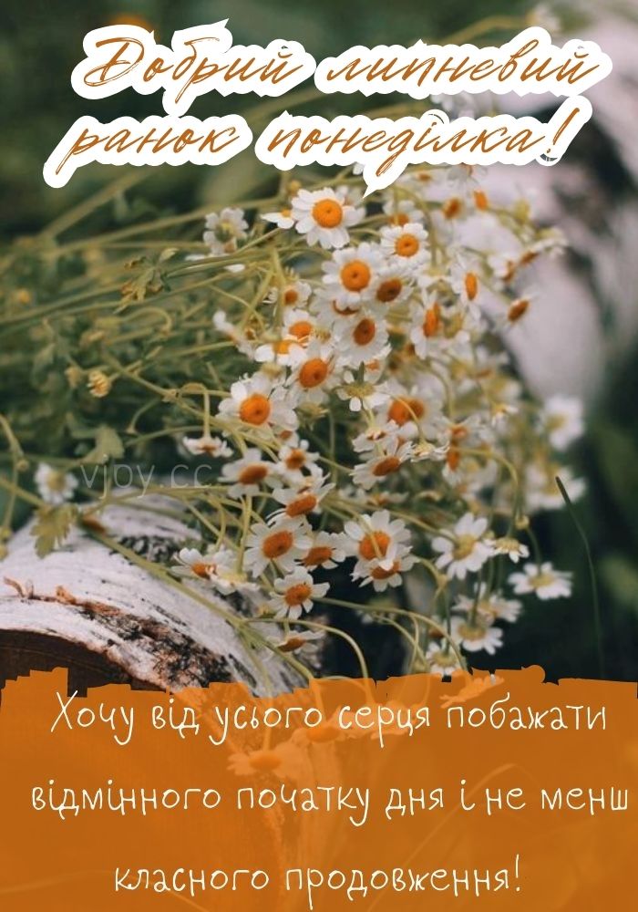 Доброго липневого ранку понеділка! 