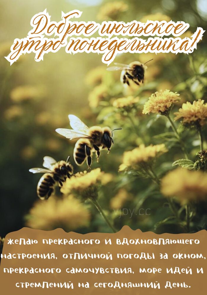 Хорошего июльского дня!