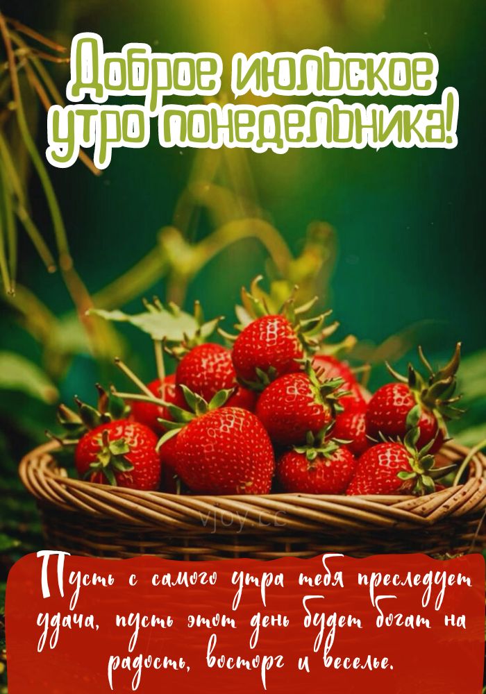 Клубника и июльское утро понедельника. 