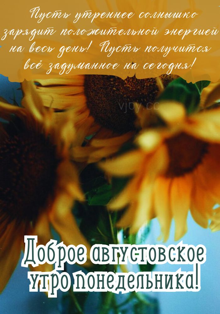 Доброе августовское утро понедельника! - открытка. 