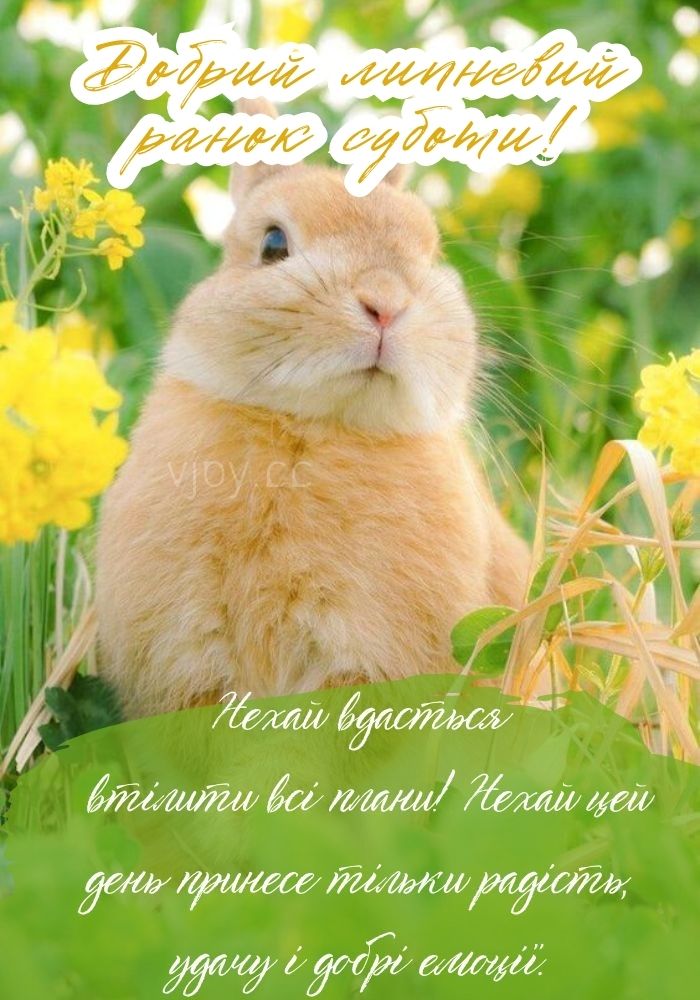 Суботнього чудового ранку! 