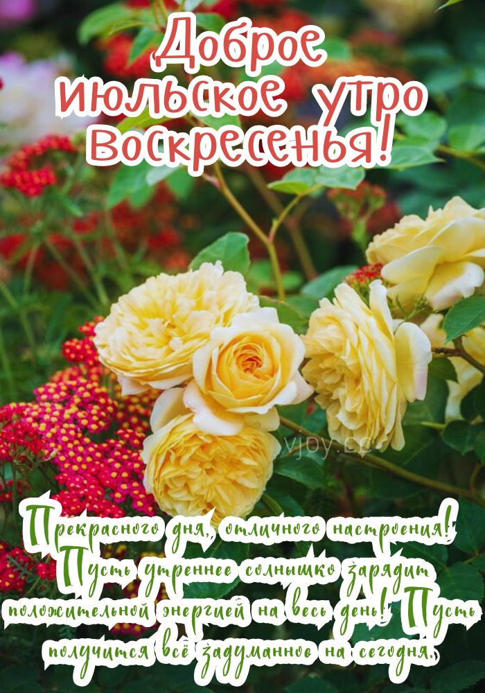 Доброго летнего утра воскресенья.