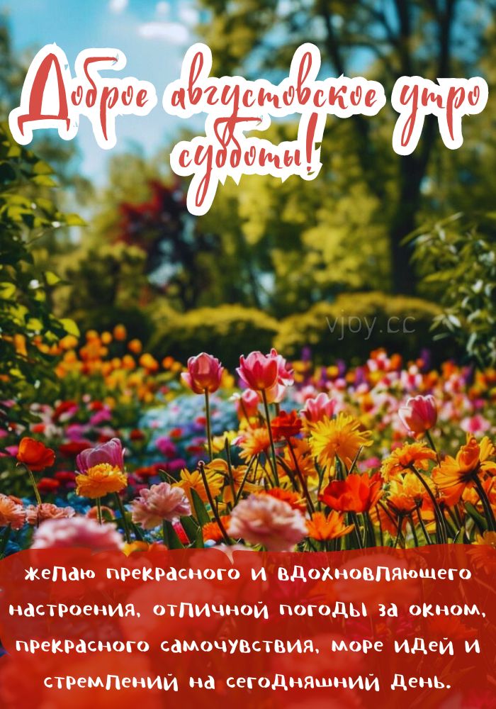 Доброго августовского утра субботы! - картинка. 