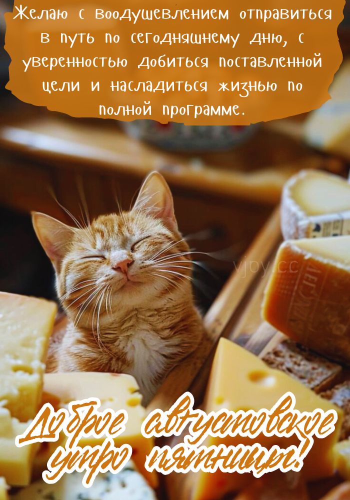 Позитивного августовского утра! 